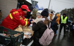 Καύσιμη ύλη