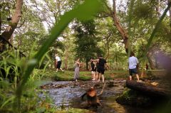 3ο ΣΧΟΛΕΙΟ ΣΚΗΝΟΘΕΣΙΑΣ ΔΗ.ΠΕ.ΘΕ. ΒΕΡΟΙΑΣ. ΑΝΟΙΧΤΕΣ ΠΑΡΟΥΣΙΑΣΕΙΣ ΜΑΘΗΜΑΤΩΝ