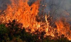 Αστείρευτο...δούλεμα!