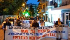 Νάουσα: Με την αγωνιστική πίεση απέσπασαν δέσμευση για δωρεάν καυσόξυλα