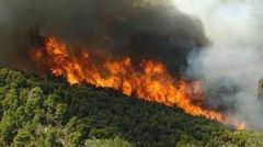 Αύξηση 300% καμένων εκτάσεων και 160% δασικών πυρκαγιών το 2021, μέχρι στιγμής!