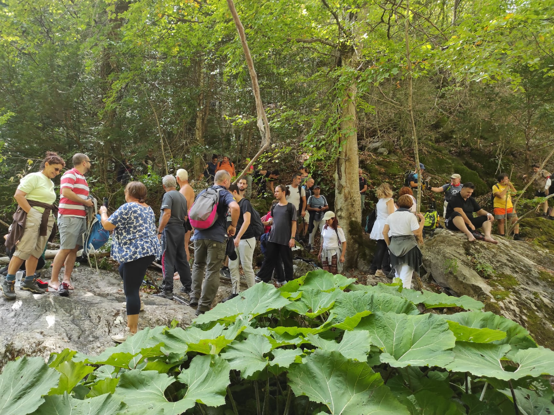 ΟΙ ΒΑΘΡΕΣ ΜΕΤΑΜΟΡΦΩΣΗΣ ΣΑΝ ΠΟΙΗΜΑΤΑ