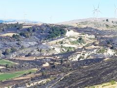 «Από τις κρίσεις μαθαίνουμε»...