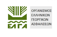 ΑΓΡΟΤΙΚΟΣ   ΣΥΛΛΟΓΟΣ ΓΕΩΡΓΩΝ ΒΕΡΟΙΑΣ: Για τις αποζημιώσεις του ΕΛΓΑ 