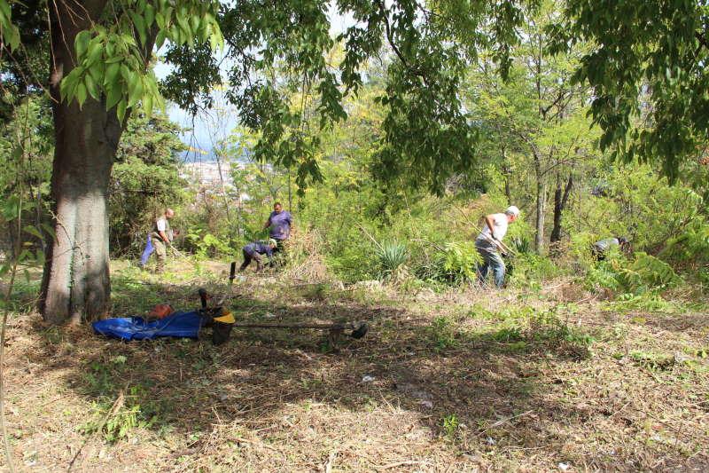 Βέροια: Καθαρισμός δημοτικών αλσών