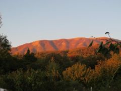  ΟΧΙ ΣΤΟΥΣ '' Α Ι Ο Λ Ο Υ Σ '' ΤΟΥ ΒΕΡΜΙΟΥ . ΝΑΙ ΣΤΗΝ ΕΛΕΥΘΕΡΙΑ ΤΟΥ