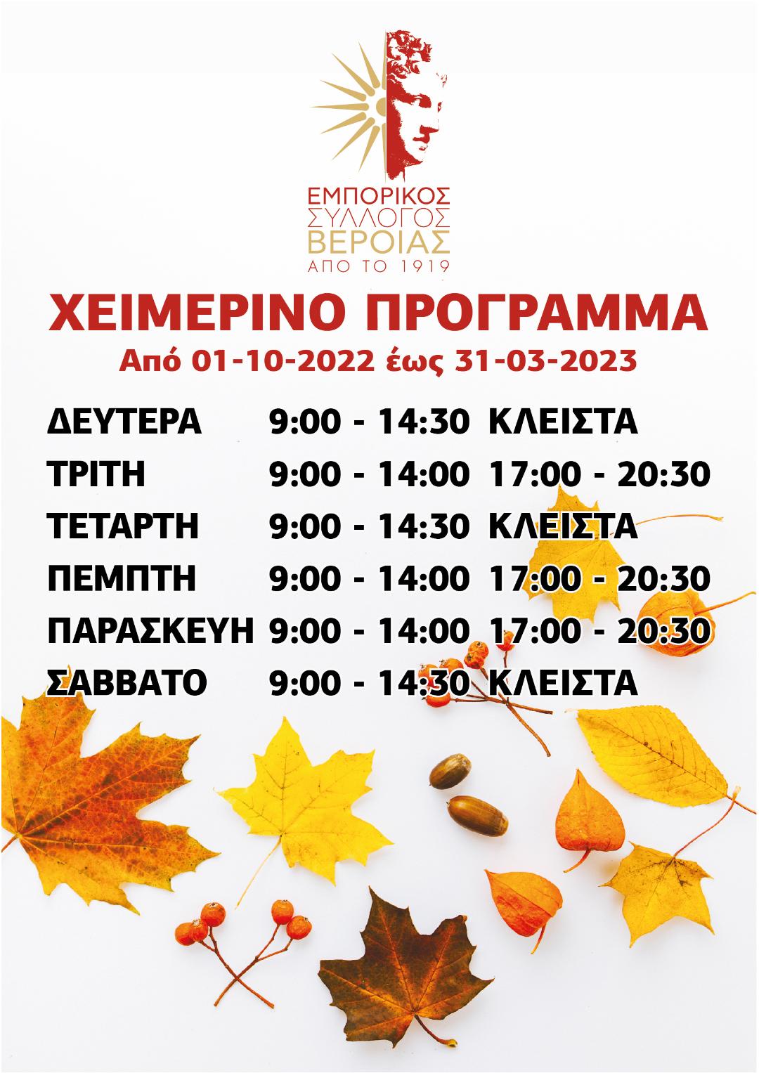 Εμπορικός Σύλλογος Βέροιας: ΧΕΙΜΕΡΙΝΟ ΠΡΟΓΡΑΜΜΑ