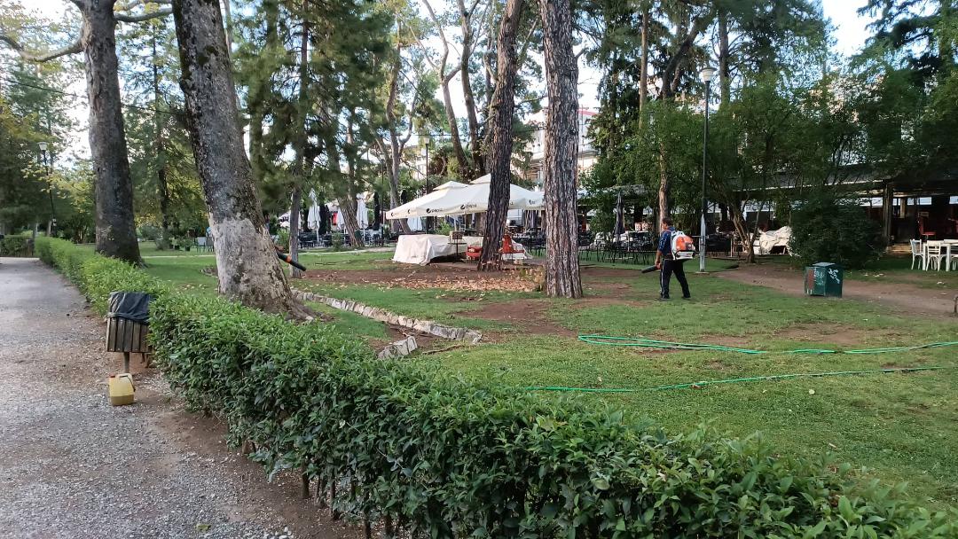 Άμεσα απομακρύνθηκαν από τα συνεργεία του Δήμου Νάουσας τα δέντρα και τα κλαδιά που έπεσαν από το μπουρίνι του Σαββάτου
