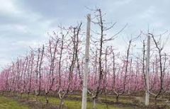 Σύσκεψη των Δ.Σ Αγροτικών Συλλόγων στη Βέροια 