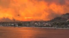 Ο Αγροτικός Σύλλογος Νάουσας “Μαρίνος Αντύπας” εκφράζει την αλληλεγγύη του στους κατοίκους των περιοχών που επλήγησαν από τις πυρκαγιές