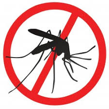 Έναρξη επεμβάσεων για καταπολέμηση κουνουπιών στο Δήμο Βεροίας.