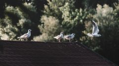 Πρόγραμμα Rapid Test στον Δήμο Βέροιας