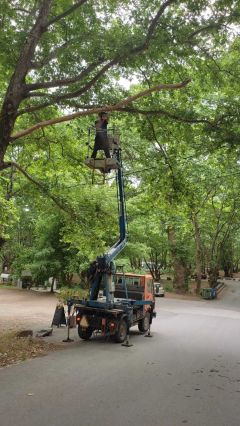 Με εντατικούς ρυθμούς συνεχίζονται οι εργασίες συντήρησης, καθαριότητας και καλλωπισμού στο άλσος Αγίου Νικολάου