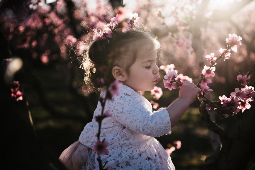 Βραβεία & Διακρίσεις φωτογραφικού διαγωνισμού “Ανθισμένες Ροδακινιές” 2022