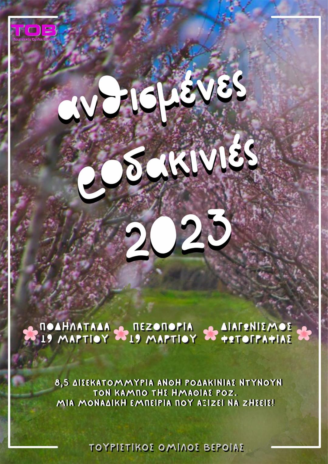 «Ανθισμένες Ροδακινιές» της Βέροιας 2023 