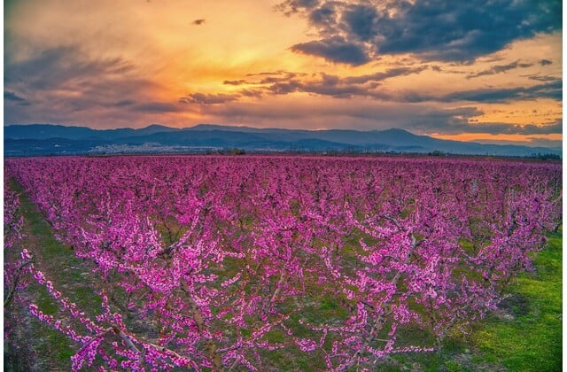 Ας σκεφτούμε βαθύτερα...