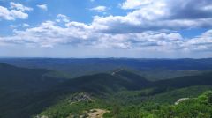 Τα δάση βορά στην επιχειρηματική εκμετάλλευση