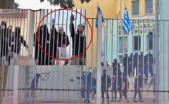 Σταυρούπολη: «Η σκύλα που γέννησε το κτήνος ζει και είναι πάλι σε οργασμό»