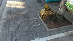 ΔΟΛΟΦΟΝΙΑ ΟΠΑΔΟΥ ΤΗΣ ΑΕΚ ΑΠΟ ΦΑΣΙΣΤΕΣ ΧΟΥΛΙΓΚΑΝ