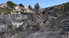 Υπαίτιος για τις μεγάλες δασικές πυρκαγιές ο καπιταλιστικός δρόμος ανάπτυξης