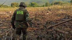 ΣΥΝΤΡΙΒΗ ΤΟΥ ΜΕΤΑΓΩΓΙΚΟΥ «ANTONOV» : Πυκνώνουν τα ερωτήματα σε μια δυσώδη υπόθεση