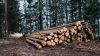 Τα εγκληματικά σχέδια ΕΕ και κυβέρνησης για τα δάση
