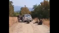 Απανθρωπιά και τσάμικα σε live streaming