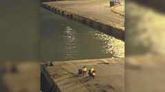 Δεν φέρει καμία ευθύνη…