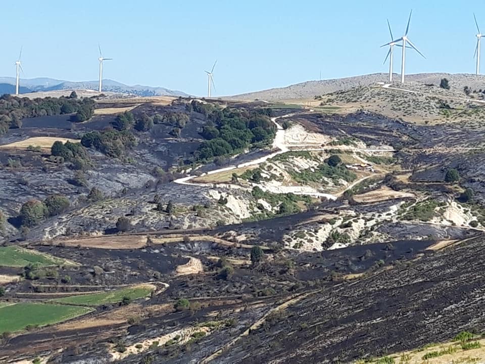 Έχουν θράσος…(«Οι ανεμογεννήτριες και τα αιολικά πάρκα προστατεύουν τα δάση»)