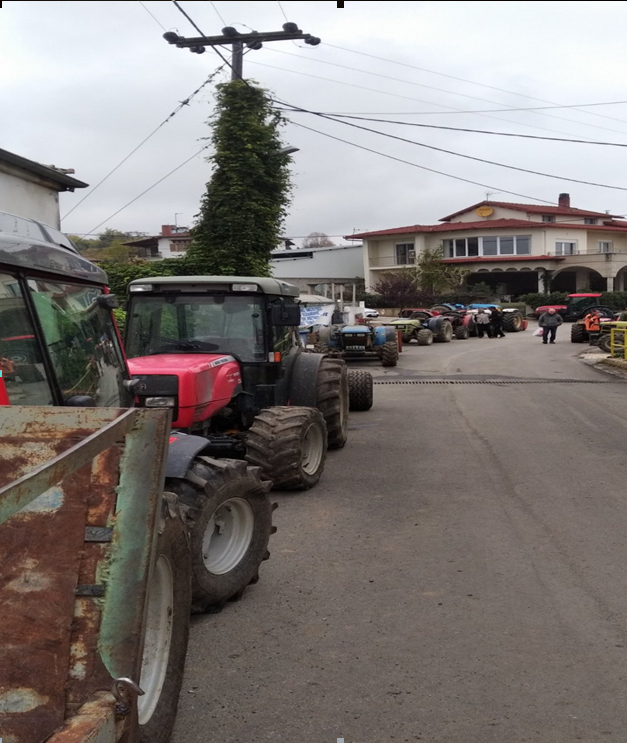ΨΗΦΙΣΜΑ ΜΗΛΟΠΑΡΑΓΩΓΩΝ ΡΟΔΟΧΩΡΙΟΥ