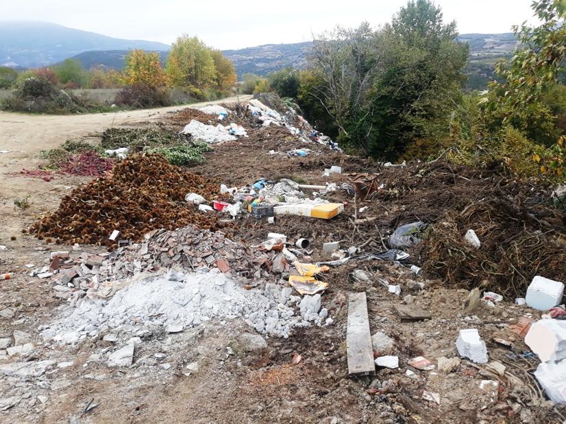 Θεόδωρος Θεοδωρίδης:Δημοτικό Συμβούλιο Βέροιας