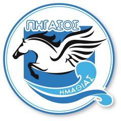 Θετικό πρόσημο για την προαγωνιστική ομάδα του Πήγασου στους θερινούς αγώνες