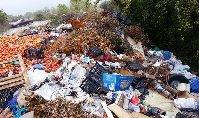 Πανέξυπνη πόλη ή... Και το περιβάλλον; 