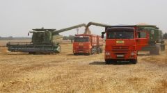Από 8 έως 20% οι αυξήσεις στις τιμές των σιτηρών εκτιμά ο ΟΗΕ