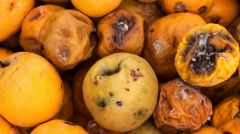 Δικά τους παιδιά είναι...