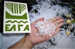 ΑΝΑΚΟΙΝΩΣΗ ΓΙΑ ΥΠΟΒΟΛΗ ΔΗΛΩΣΕΩΝ ΖΗΜΙΑΣ ΑΠΟ ΤΟ  ΧΑΛΑΖΙ  ΤΗΣ 20/8/24 ΣΤΟ ΜΑΚΡΟΧΩΡΙ