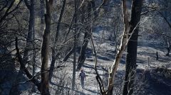 Παραμύθια και προκλήσεις στους πυρόπληκτους