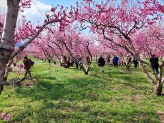 ΠΡΟΣΚΛΗΣΗ ΤΟΥΡΙΣΤΙΚΟΥ ΟΜΙΛΟΥ ΒΕΡΟΙΑΣ  ΣΕ ΤΑΚΤΙΚΗ ΓΕΝΙΚΗ ΣΥΝΕΛΕΥΣΗ