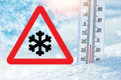 Ανακοίνωση του Δ. Βέροιας για τον παγετό