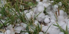 Και στην Ευρωβουλή το θέμα των καταστροφών στην αγροτική παραγωγή ,από το ΚΚΕ