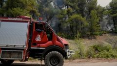 Nέα Σάντα Ημαθίας: Πυρκαγιά σε δασική έκταση .Επιχειρούν επίγειες και εναέριες δυνάμεις