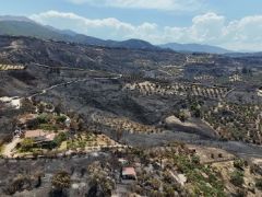 Στάχτη 450.000 στρέμματα στην Ελλάδα μέχρι τώρα