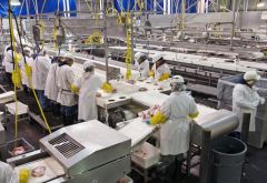 Για τη γερασμένη συζήτηση σχετικά με το «νέο παραγωγικό μοντέλο»