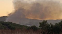 Η νάρκη του κέρδους