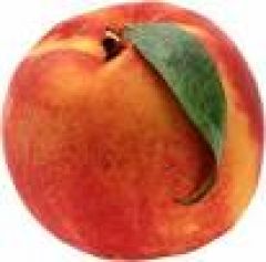 Ανακοίνωση του ΚΚΕ για τα «μέτρα στήριξης» των ροδακινοπαραγωγών που ανακοίνωσε η ΕΕ