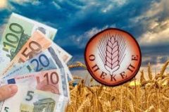 ΕΞΕΤΑΣΤΙΚΗ ΓΙΑ ΟΠΕΚΕΠΕ: Κάθε πτυχή της υπόθεσης αναδεικνύει τη σαπίλα