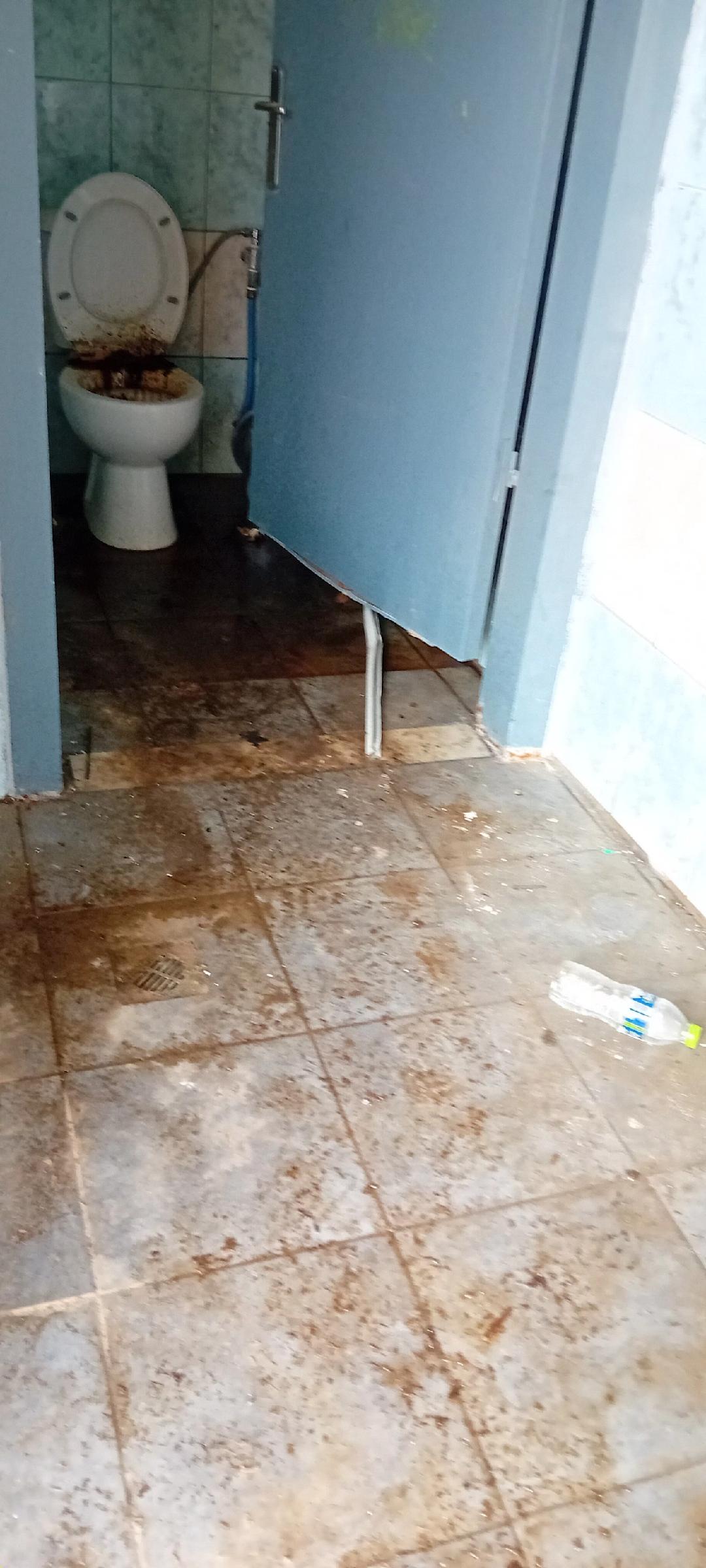 Κατουρημένα Συγχαρητήρια