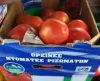Επείγουσα παρέμβαση για τις ζημιές από την κακοκαιρία στα Ριζώματα Ημαθίας