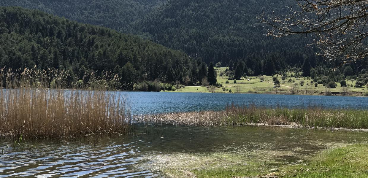 Ξέπλυμα και της λεηλασίας και των «περιοχών Natura 2000»