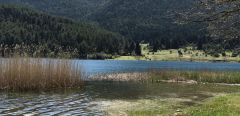 Ξέπλυμα και της λεηλασίας και των «περιοχών Natura 2000»